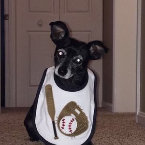 Meet your Posher, Kristy